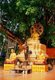 The Buddhist temple of Wat Chet Yot (Jet Yod) was constructed in 1455 CE by King Tilokarat in the style of the Mahabodhi temple in Bodh Gaya, India. Bodh Gaya was where Siddhartha Gautama, the Buddha, attained enlightenment.<br/><br/>

Chiang Mai, sometimes written as 'Chiengmai' or 'Chiangmai', is the largest and most culturally significant city in northern Thailand, and is the capital of Chiang Mai Province. It is located 700 km (435 mi) north of Bangkok, among the highest mountains in the country. The city is on the Ping river, a major tributary of the Chao Phraya river.<br/><br/>

King Mengrai founded the city of Chiang Mai (meaning 'new city') in 1296, and it succeeded Chiang Rai as capital of the Lanna kingdom. The ruler was known as the Chao. The city was surrounded by a moat and a defensive wall, since nearby Burma was a constant threat.<br/><br/>

Chiang Mai formally became part of Siam in 1774 by an agreement with Chao Kavila, after the Thai King Taksin helped drive out the Burmese. Chiang Mai then slowly grew in cultural, trading and economic importance to its current status as the unofficial capital of northern Thailand, second in importance only to Bangkok.